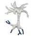 New Brain Cell gigantic plush back
