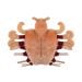 Crab Louse plush bottom