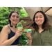 Gallbladder gift girls