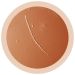 Heartworm microbial