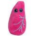 Lung plush pink front