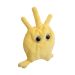 Platelet plush angle