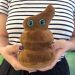 Poop plush in hand