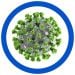 SARS real microbial image