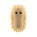 Stomach Ache plush front
