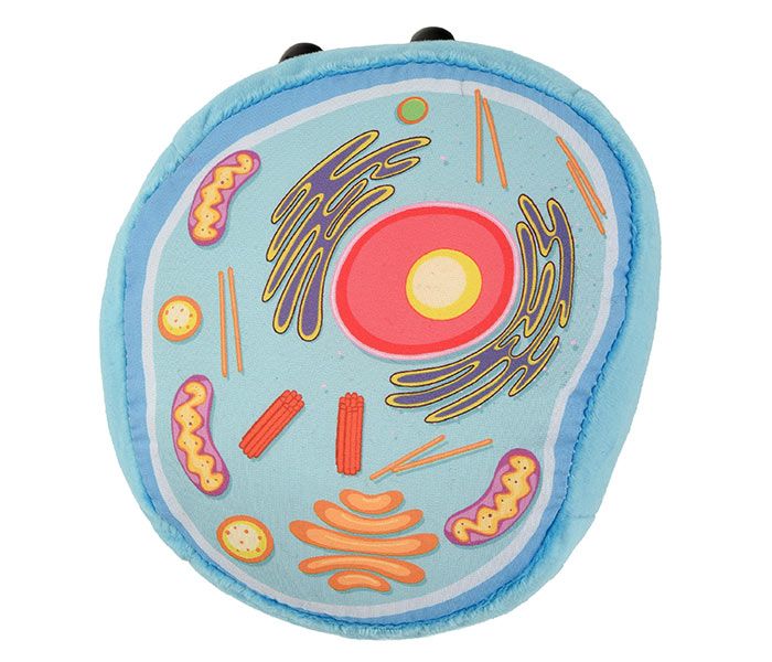 Animal Cell plush top