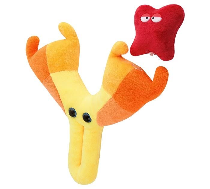 Antibody plush angle with mini