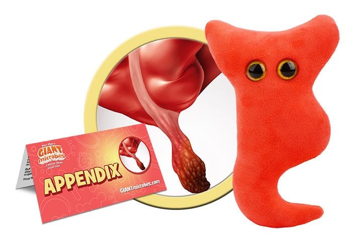 Appendix plush cluster