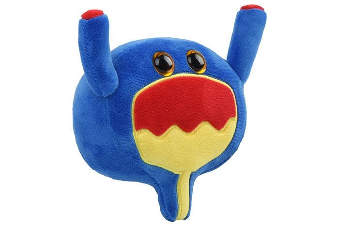 Bladder plush angle