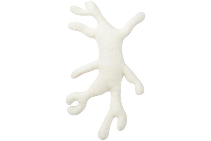 Bone Cell plush back