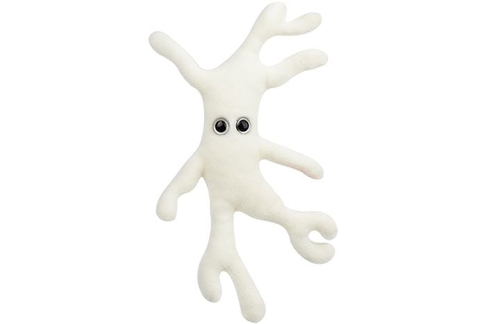 Bone Cell plush front