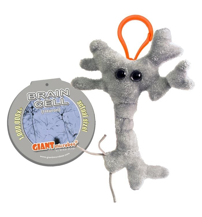 Brain Cell key ring tag