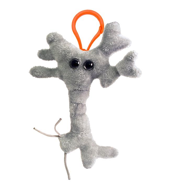 Brain Cell key ring