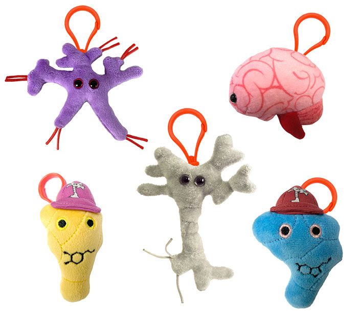 Brain Science box minis