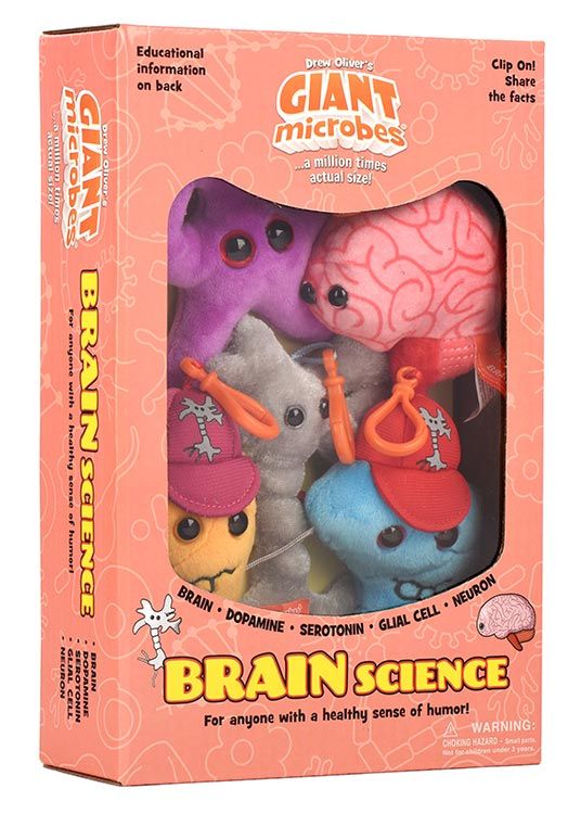 Brain Science box angle