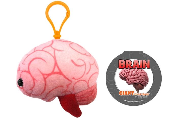 Brain cluster