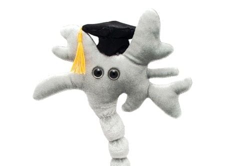 Graduation Brain close up