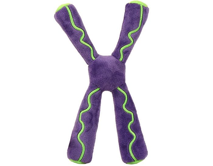 Chromosome plush back
