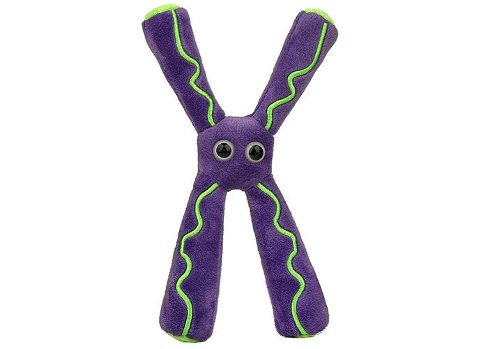 Chromosome plush front