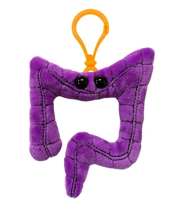 Colon key ring