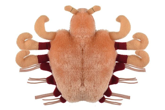 Crab Louse plush bottom