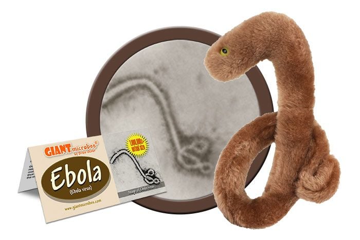 Ebola plush cluster