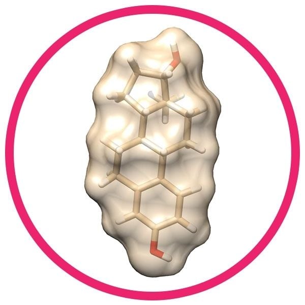 Estrogen molecule