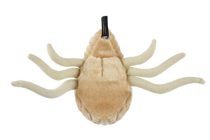 Flea plush bottom