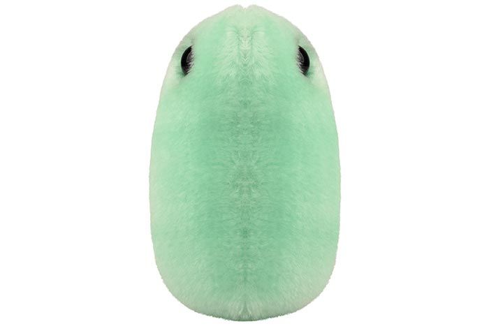 Flu plush doll front