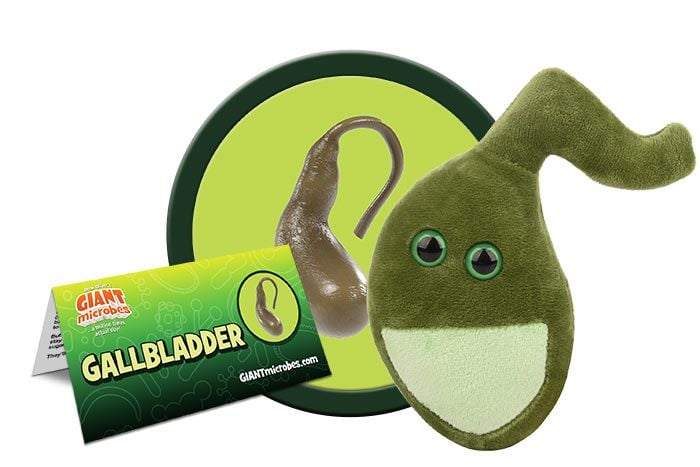 Gallbladder plush cluster