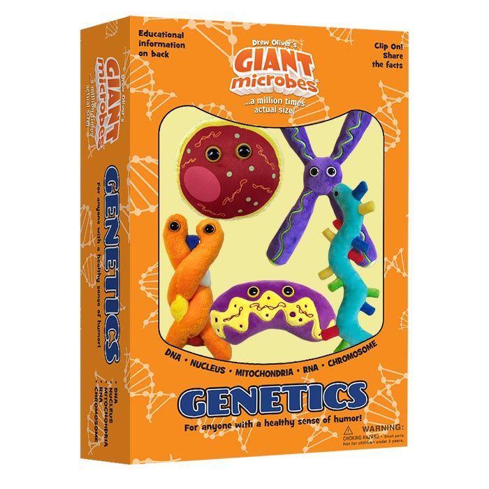 Genetics box new