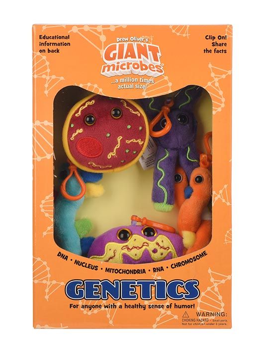 Genetics box front