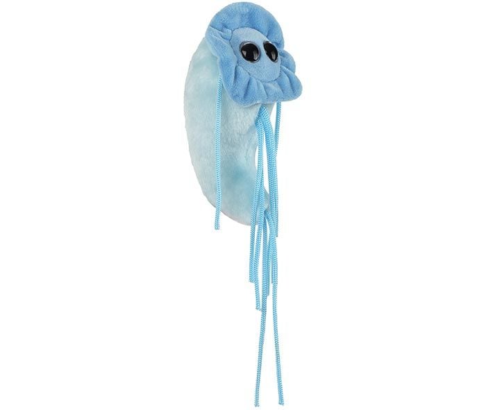 Giardia plush angle