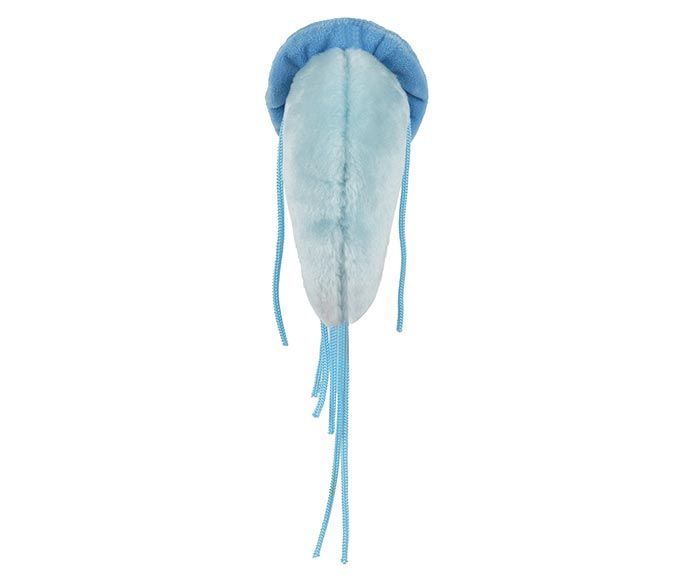 Giardia plush back