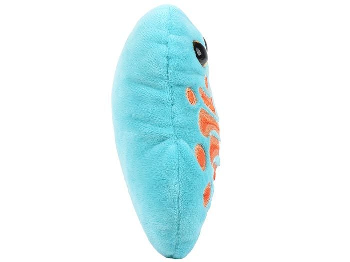 Golgi plush side