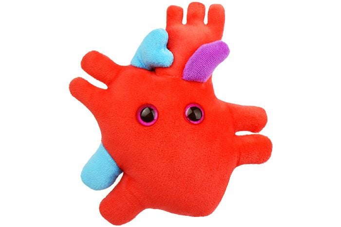 Heart plush front