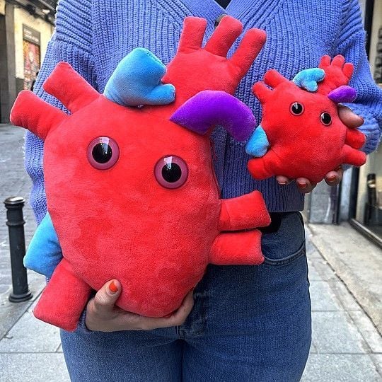 Anatomical top heart plush
