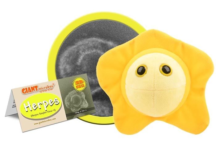 Herpes Herpes Simplex Virus 2