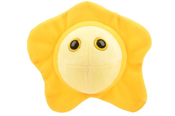 Herpes plush doll front