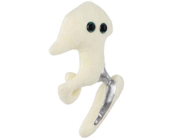 Hip Replacement plush angle
