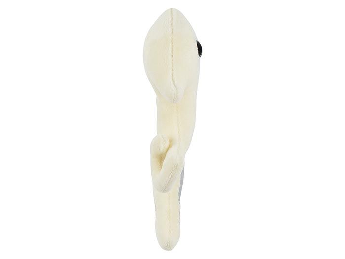Hip Replacement plush side
