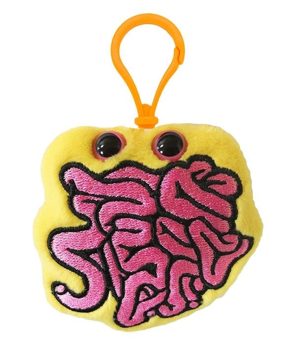 Small Intestine key ring