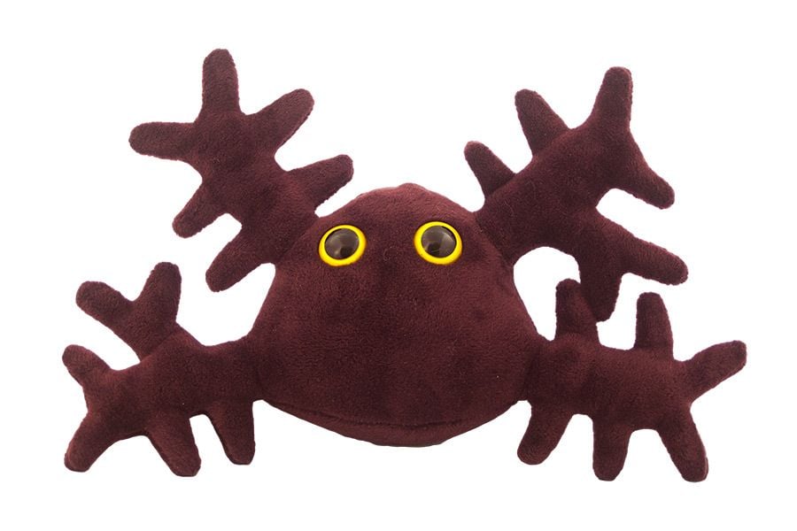 Kidney Cell doll