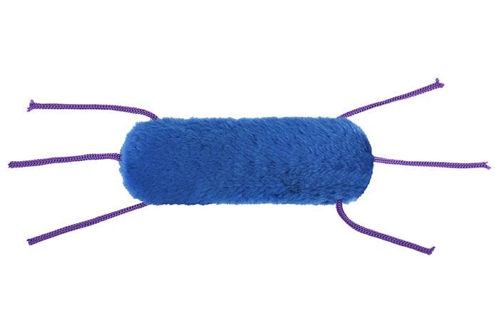 Listeria plush back