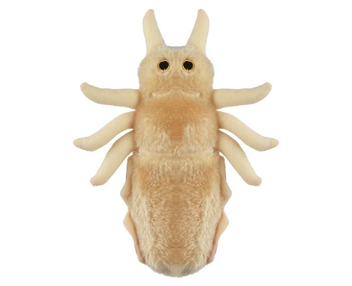 Louse plush top