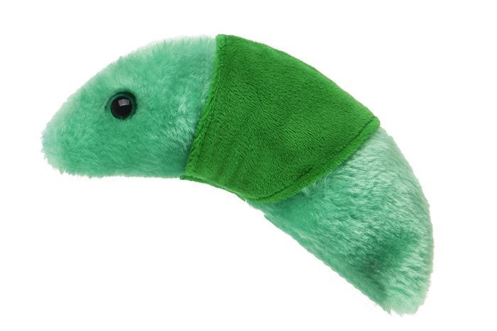 Malaria plush side