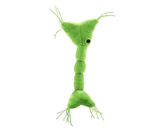 Nerve Cell plush side