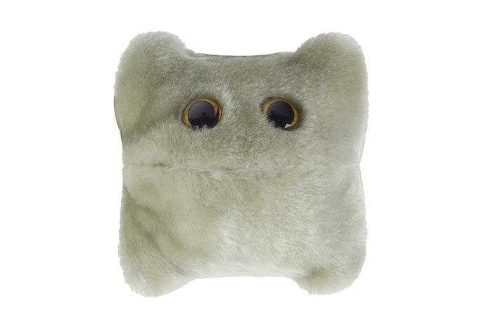 Norovirus plush front