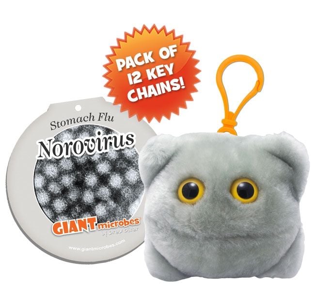 Norovirus key chain pack