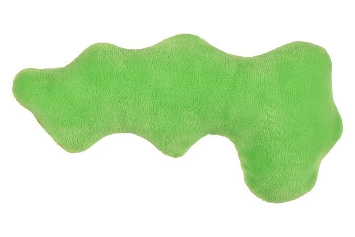 Pancreas plush back